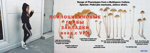 мет Новозыбков