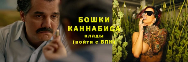 мет Новозыбков
