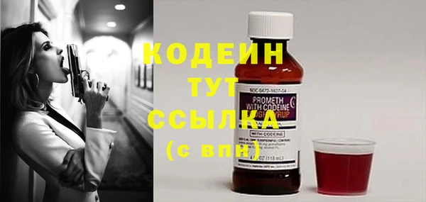мет Новозыбков
