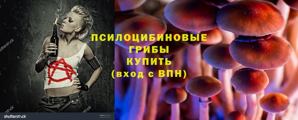 мет Новозыбков